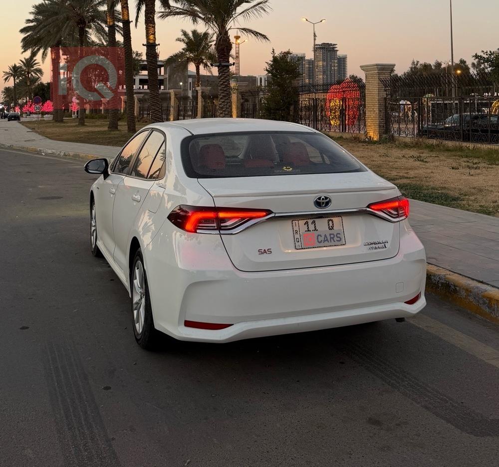 تويوتا كورولا